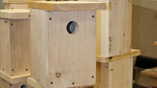 Готовый скворечник, осталось установить жердочки