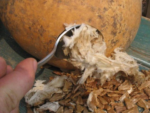 Удалите все содержимое из тыквы