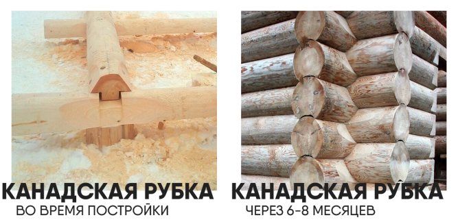 Канадская отбивная в миске